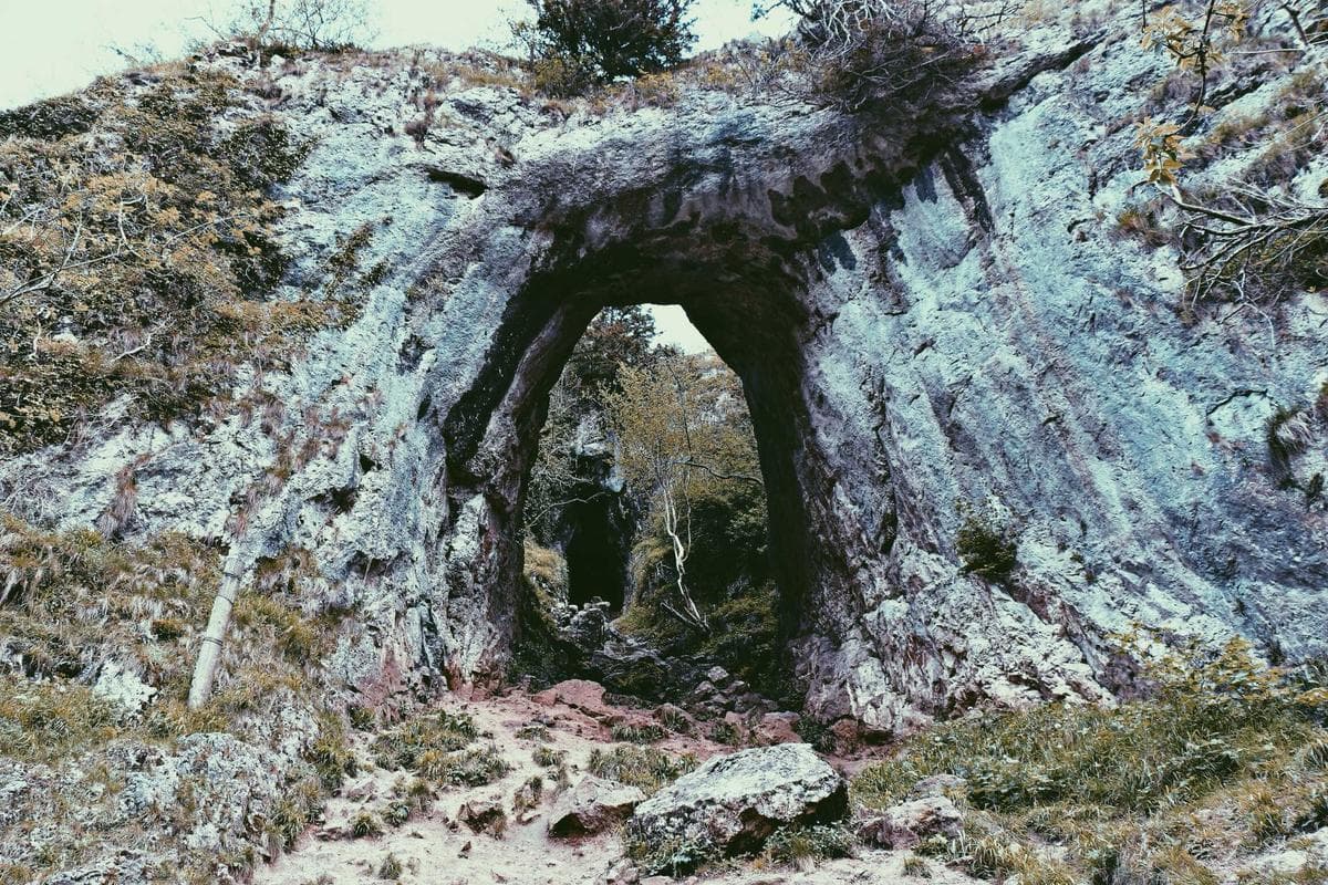 Gallery image 1